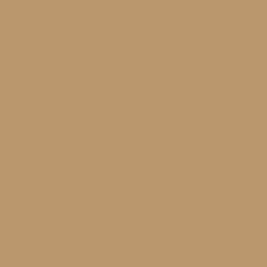 Canvas & Co. Solids By Windham