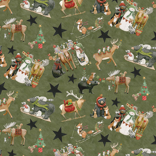 northern-christmas-by-riley-blake- C17830-GREEN is Available at International Textiles Ltd in Canada
