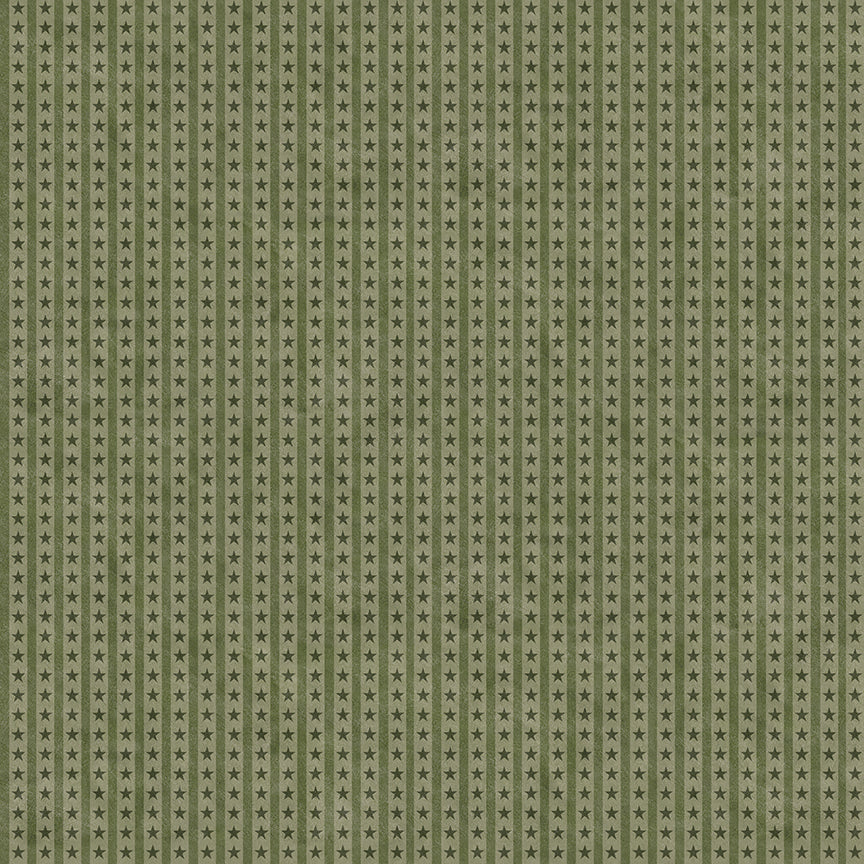 northern-christmas-by-riley-blake- C17836-GREEN is Available at International Textiles Ltd in Canada