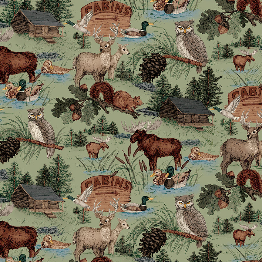 whispering-pines-by-riley-blake- C17950-GREEN is Available at International Textiles Ltd in Canada