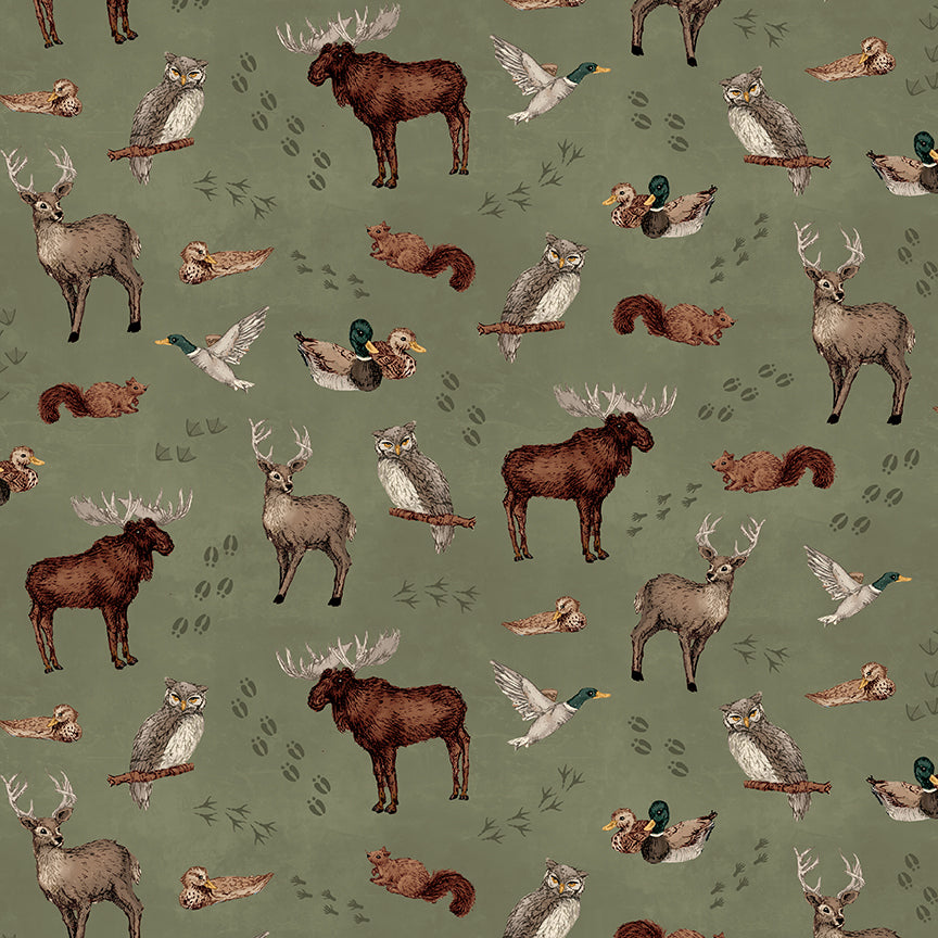 whispering-pines-by-riley-blake- C17951-GREEN is Available at International Textiles Ltd in Canada