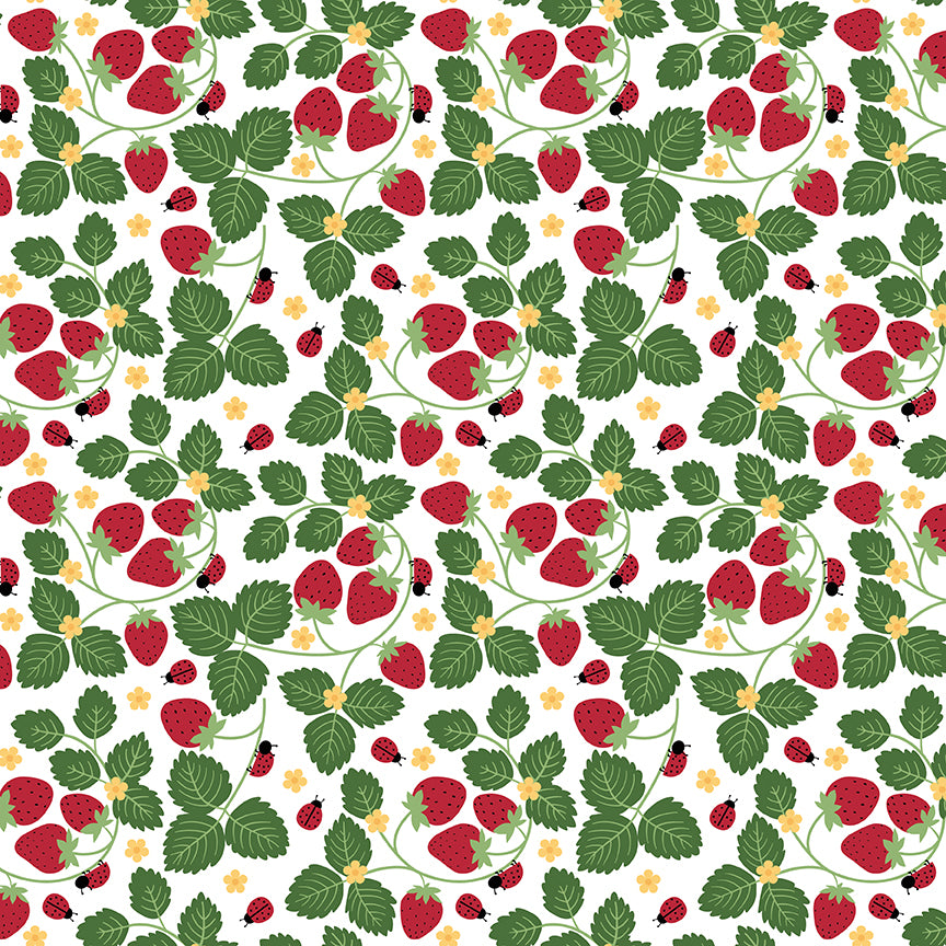 little-ladybug-by-riley-blake- C18031-WHITE is Available at International Textiles Ltd in Canada