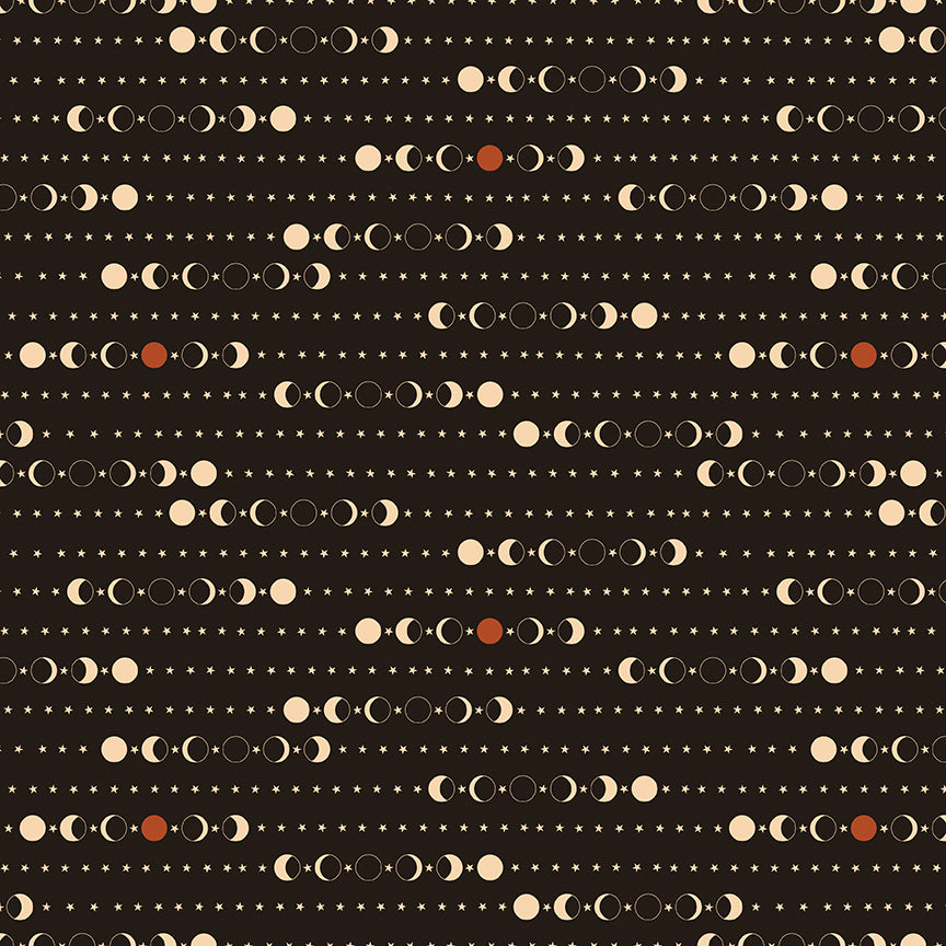 secret-garden-by-riley-blake- C18043-BLACK is Available at International Textiles Ltd in Canada