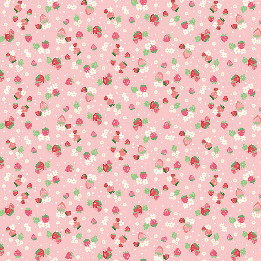 Bloom-&-Heart C18444-FROSTING Riley Blake Canada wholesale at International Textiles Ltd. 