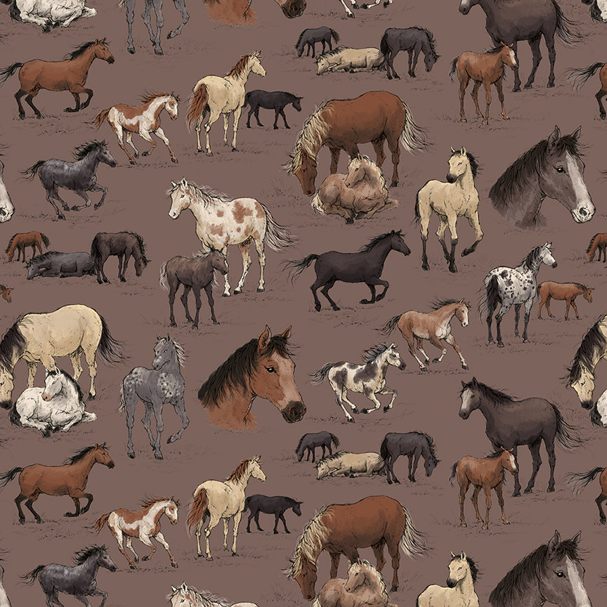 Horseshoe-Creek C18470-LTRAISIN Riley Blake Canada wholesale at International Textiles Ltd. 