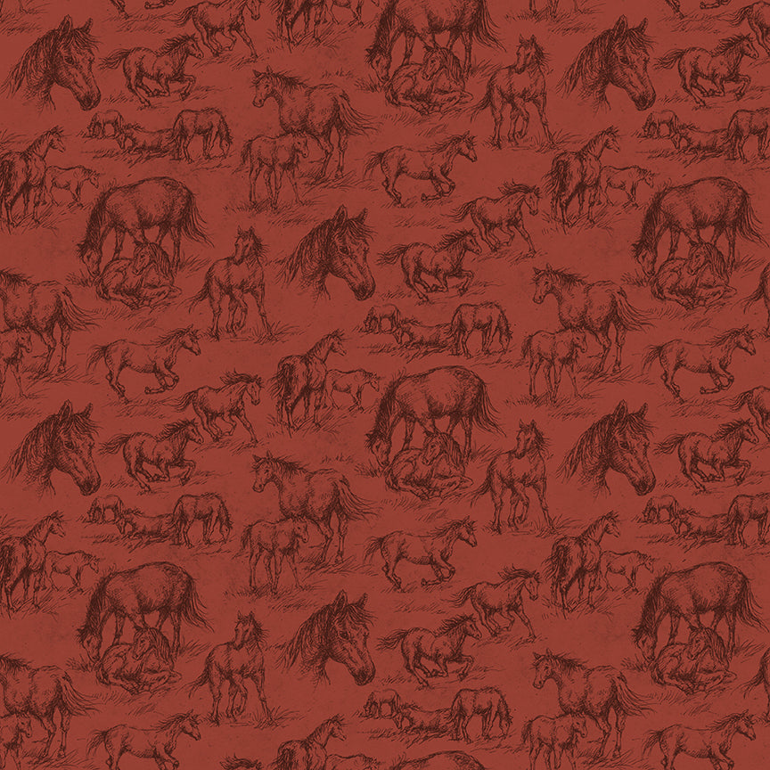Horseshoe-Creek C18471-TERRACOTTA Riley Blake Canada wholesale at International Textiles Ltd. 