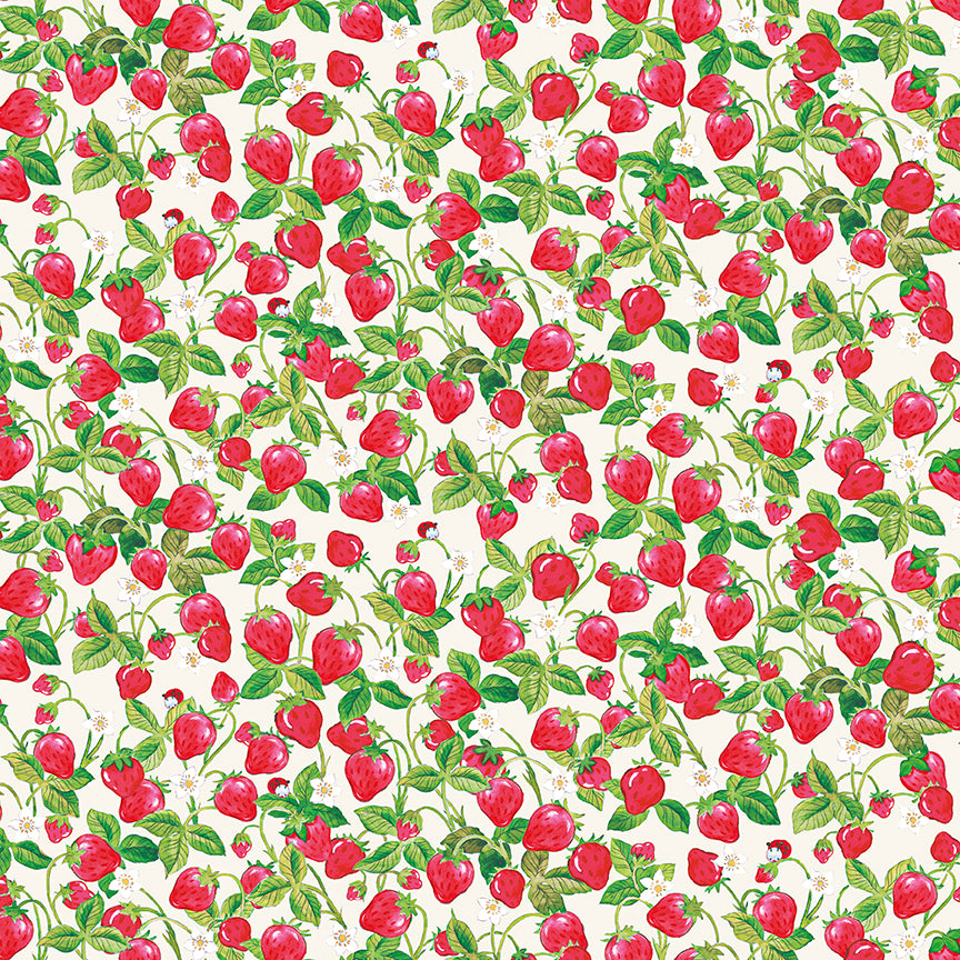 The-World-of-Strawberry-Shortcake C18564-CREAM Riley Blake Canada wholesale at International Textiles Ltd. 