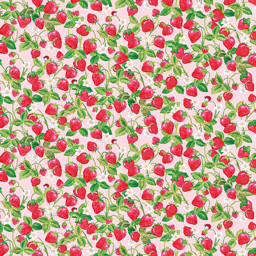 The-World-of-Strawberry-Shortcake C18564-PINK Riley Blake Canada wholesale at International Textiles Ltd. 