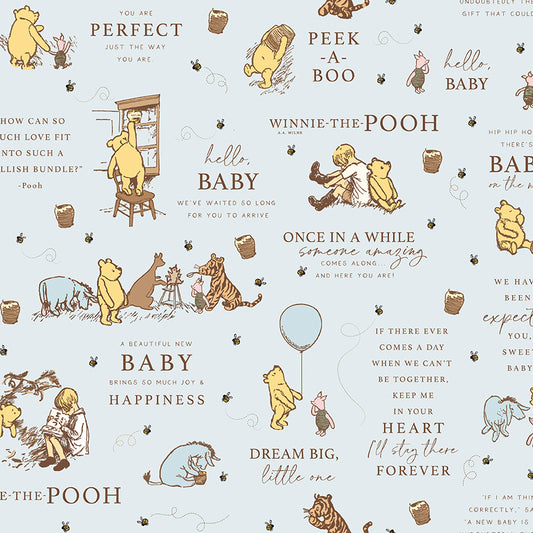 Winnie-the-Pooh-Baby C18590-BLUE Riley Blake Canada wholesale at International Textiles Ltd. 