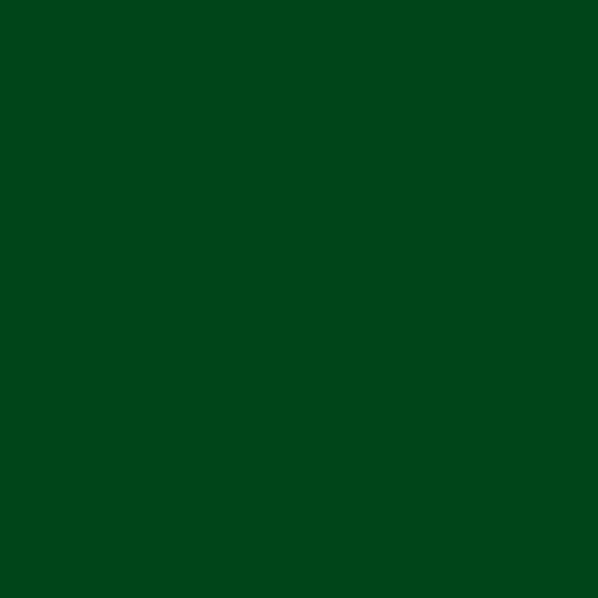 Designer-Flannel-R2-2026 F120-CHRISTMASGREEN Riley Blake Canada wholesale at International Textiles Ltd. 