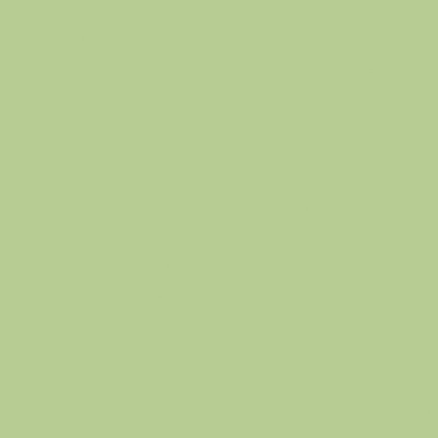 Designer-Flannel-R2-2026 F120-HONEYDEW Riley Blake Canada wholesale at International Textiles Ltd. 