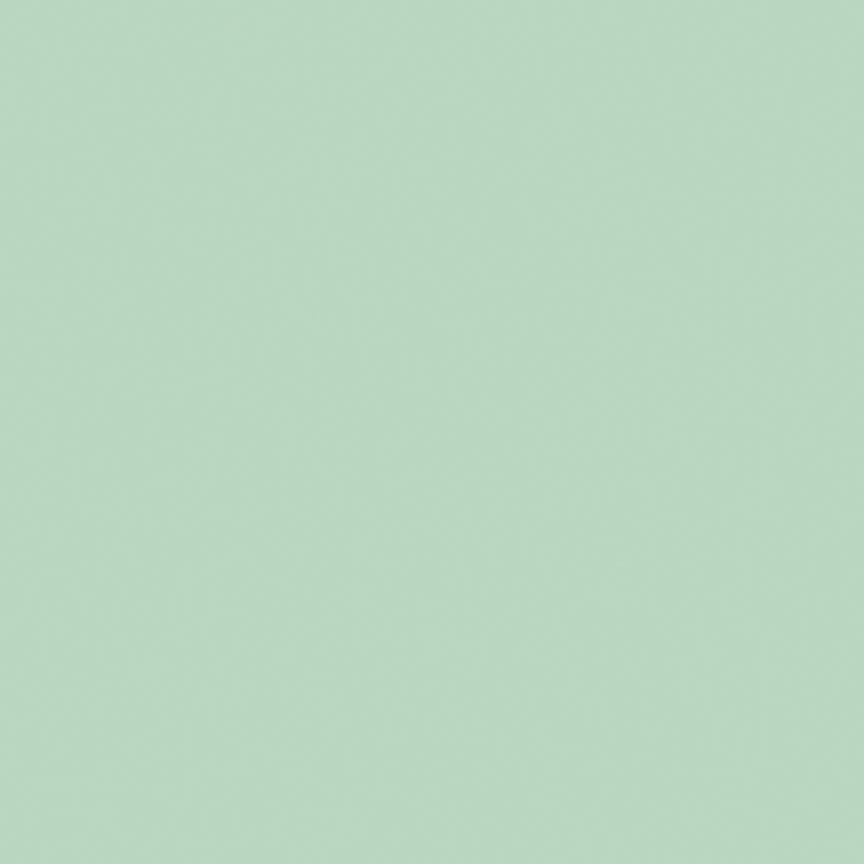 Designer-Flannel-R2-2026 F120-SAGE Riley Blake Canada wholesale at International Textiles Ltd. 