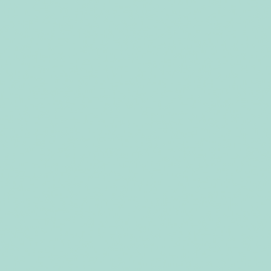 Designer-Flannel-R2-2026 F120-SONGBIRD Riley Blake Canada wholesale at International Textiles Ltd. 