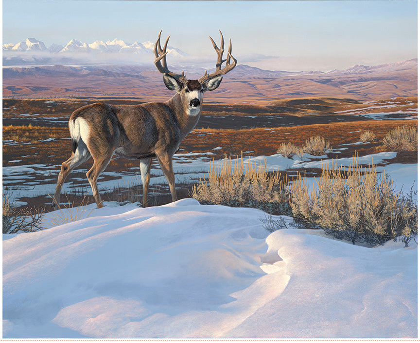 majestic-in-nature-ii-by-riley-blake- PD17961-PANEL is Available at International Textiles Ltd in Canada