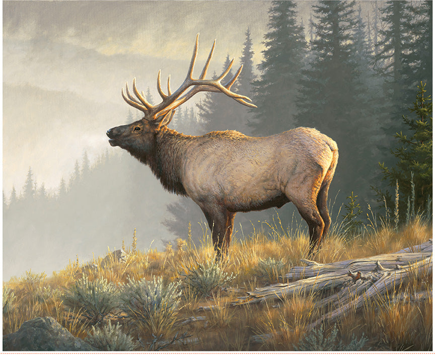 majestic-in-nature-ii-by-riley-blake- PD17962-PANEL is Available at International Textiles Ltd in Canada