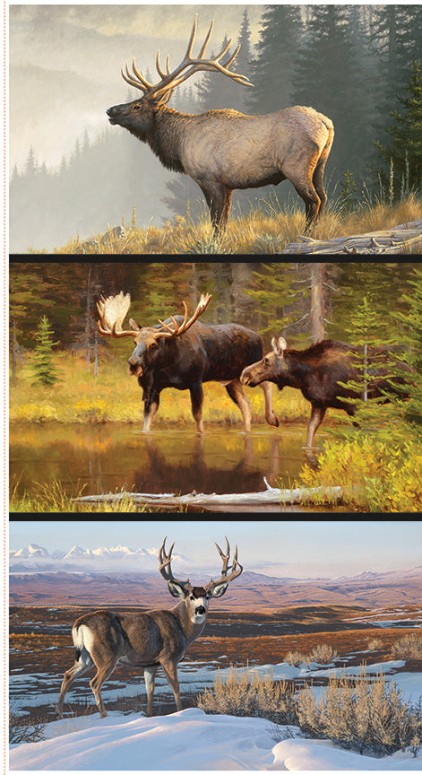 majestic-in-nature-ii-by-riley-blake- PD17963-PANEL is Available at International Textiles Ltd in Canada
