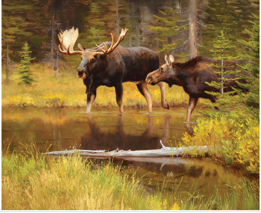 majestic-in-nature-ii-by-riley-blake- PD17964-PANEL is Available at International Textiles Ltd in Canada