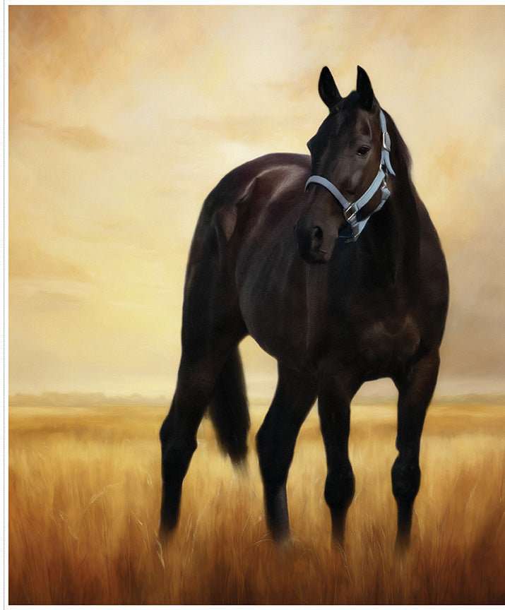 Horseshoe-Creek PD18478-PANEL Riley Blake Canada wholesale at International Textiles Ltd. 