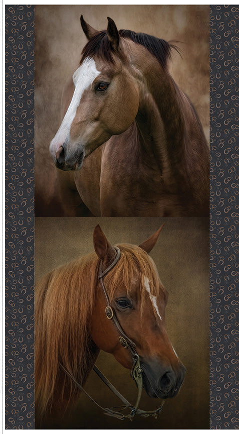 Horseshoe-Creek PD18479-PANEL Riley Blake Canada wholesale at International Textiles Ltd. 