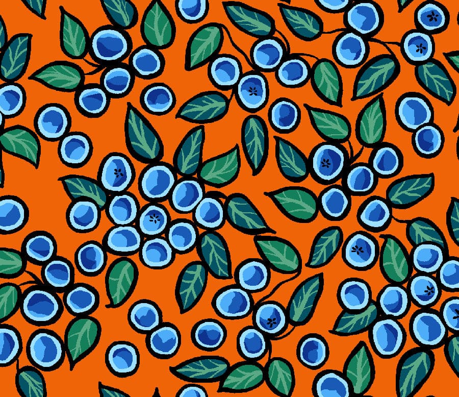 Blueberry_and_Bear_by_C.J._Houle CJH-0005-Orange Indigenous fabrics by Itex Designs
