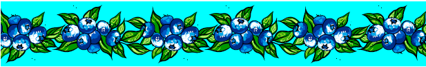Blueberry Ribbons by Carla Joseph