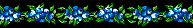 Blueberry Ribbons by Carla Joseph