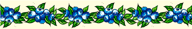 Blueberry Ribbons by Carla Joseph