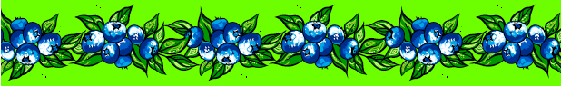 Blueberry Ribbons by Carla Joseph