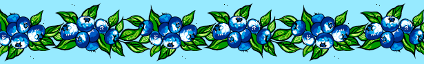 Blueberry Ribbons by Carla Joseph