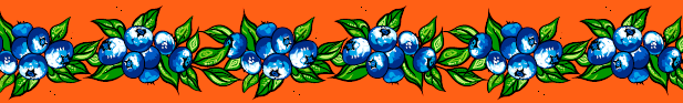 Blueberry Ribbons by Carla Joseph