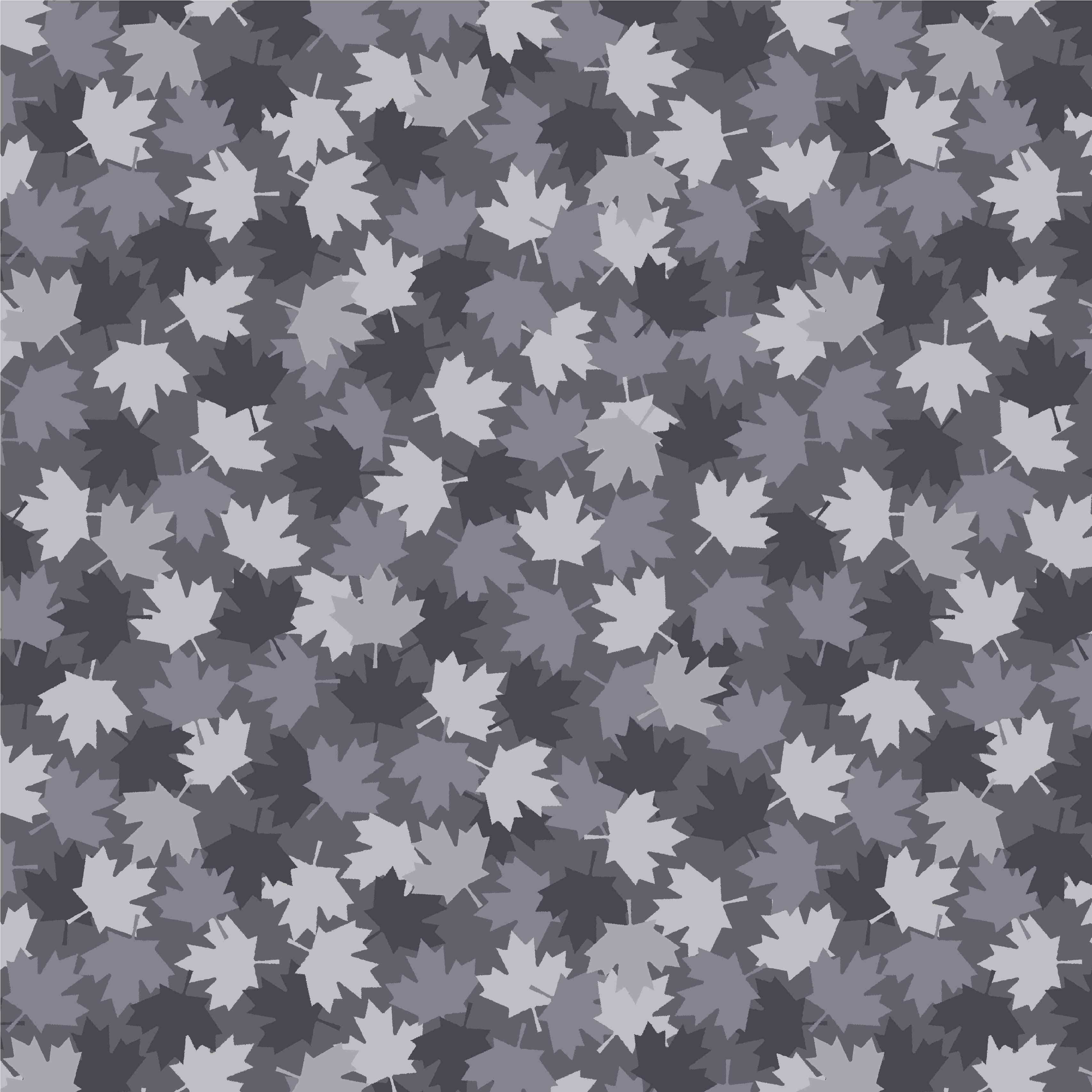 Canadian_Maples_108