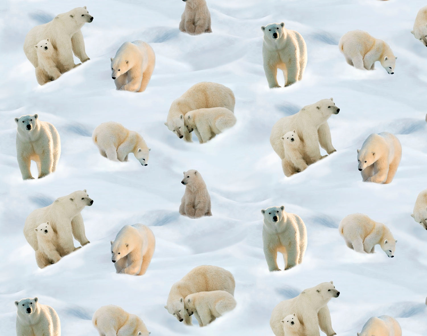 Polar_Bears EY-2101-3-1 Indigenous fabrics by Itex Designs