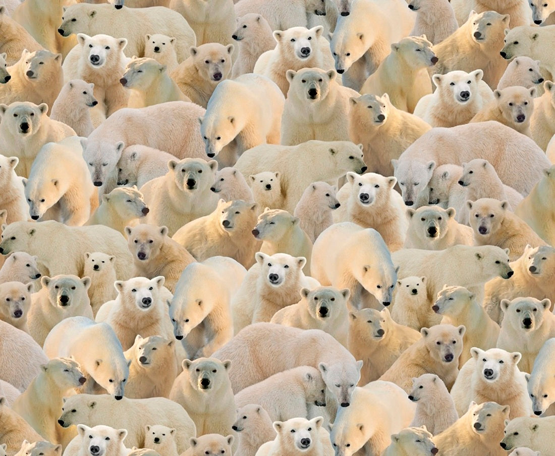 Polar_Bears EY-2101-4-1 Indigenous fabrics by Itex Designs