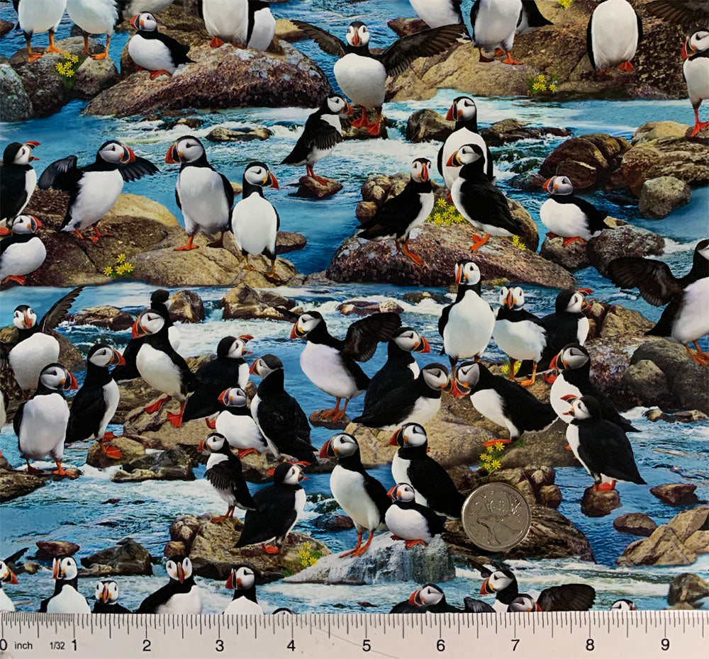 Puffins EY-2102-2-1 Indigenous fabrics by Itex Designs
