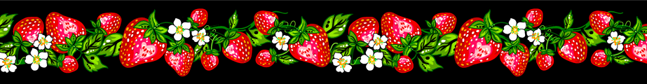 Strawberry_Dreamcatcher__by__Carla_Joseph CAJR-0008-Black Indigenous fabrics by Itex Designs