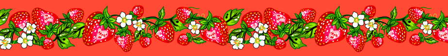 Strawberry_Dreamcatcher__by__Carla_Joseph CAJR-0008-Coral Indigenous fabrics by Itex Designs