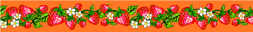 Strawberry_Dreamcatcher__by__Carla_Joseph CAJR-0008-Orange Indigenous fabrics by Itex Designs
