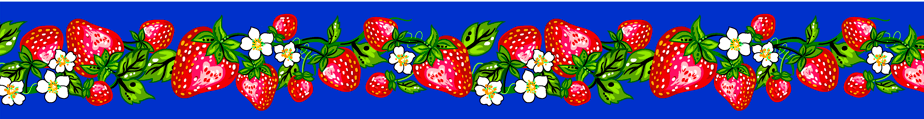Strawberry_Dreamcatcher__by__Carla_Joseph CAJR-0008-Royal Indigenous fabrics by Itex Designs