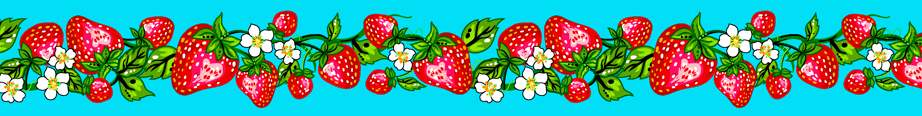 Strawberry_Dreamcatcher__by__Carla_Joseph CAJR-0008-Turq Indigenous fabrics by Itex Designs