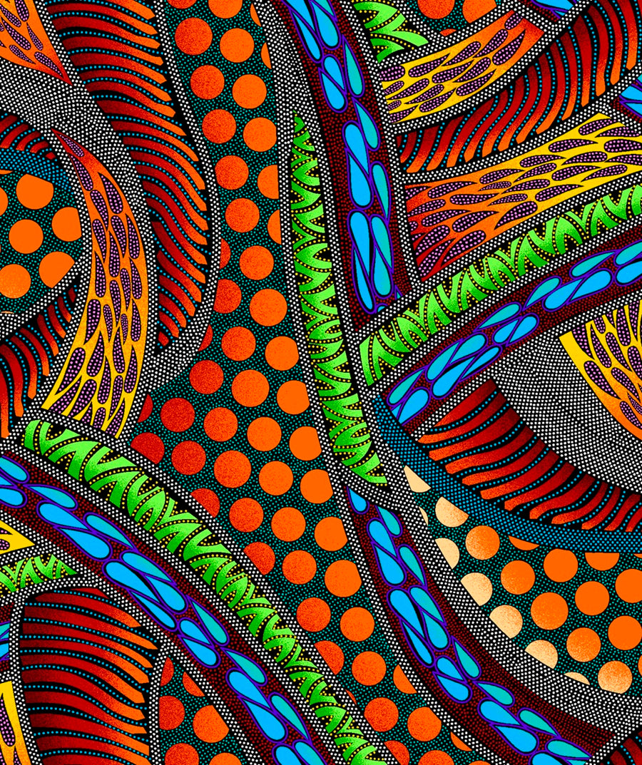 Turtle_by_Betty_Albert BA-00013M-Multi Indigenous fabrics by Itex Designs